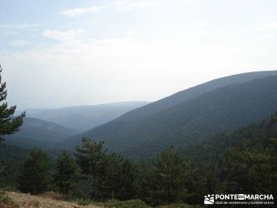 Valle del Lozoya - Camino de la Angostura;rutas por el escorial el pardo rutas